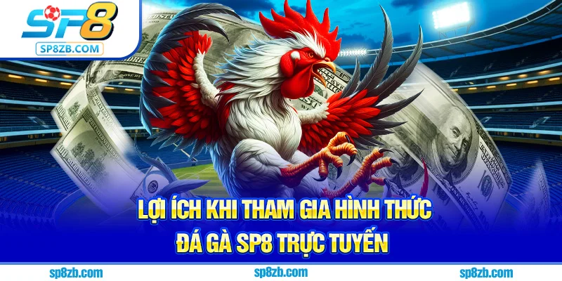 Lợi ích khi tham gia hình thức đá gà Sp8 trực tuyến