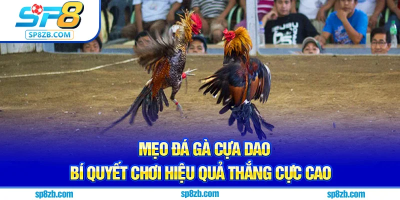 mẹo đá gà cựa dao